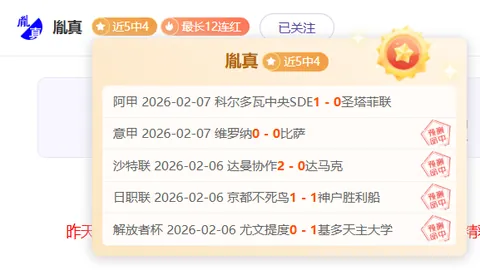 欧洲杯首位女足球裁判弗拉帕特惊艳登场