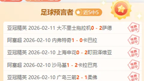 篮球NBA重点解析：专家专注质合分析推荐